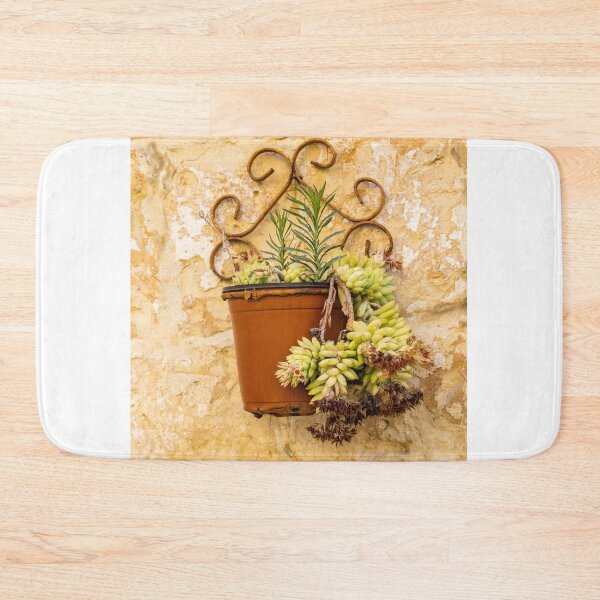 Item preview, Rustic Terracotta Pot With Succulent Hanging On Textured Stone Wall In Mediterranean Setting designed and sold by Nmallia.