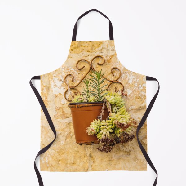 Item preview, Rustic Terracotta Pot With Succulent Hanging On Textured Stone Wall In Mediterranean Setting designed and sold by Nmallia.