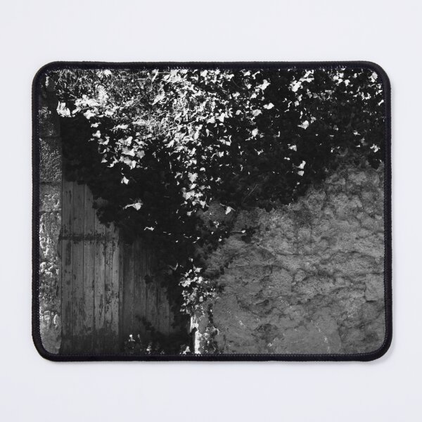 Item preview, No entry. designed and sold by Paul Pasco.