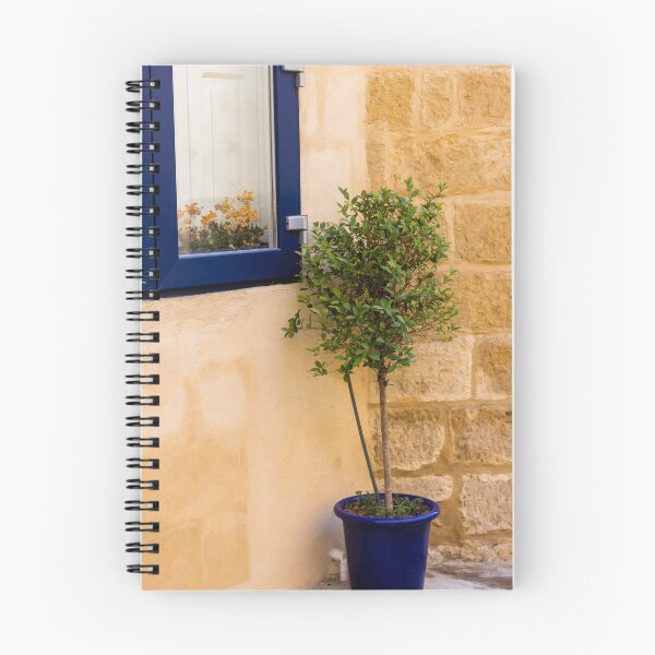 Item preview, Potted Tree in Blue Pot Beside Blue Window and Sandstone Wall — Mediterranean Home Exterior Scene designed and sold by Nmallia.