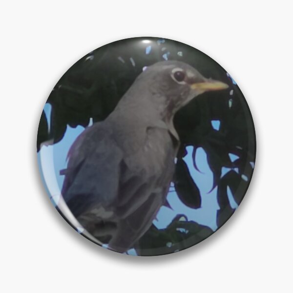 Item preview, American Robin designed and sold by WilesTheFox.