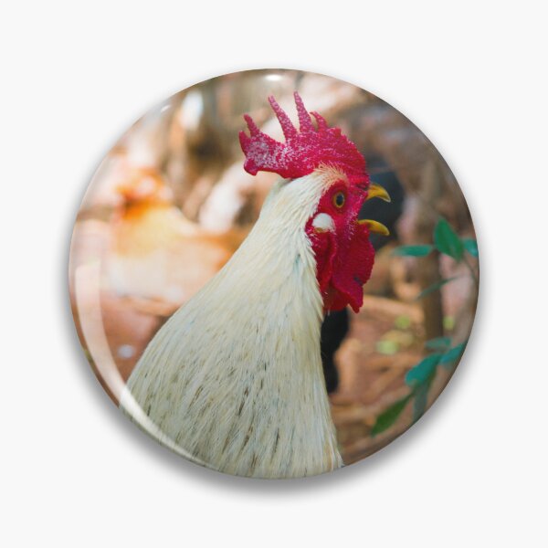 Item preview, A Hawaiian Hotel Rooster Says Aloha designed and sold by Bill Spengler's Photographic Thoughts.
