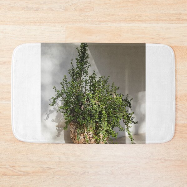 Item preview, Sunlit Potted Succulent (Jade Plant) In Rustic Textured Pot for Indoor Home Decor And Minimal Greenery designed and sold by Nmallia.