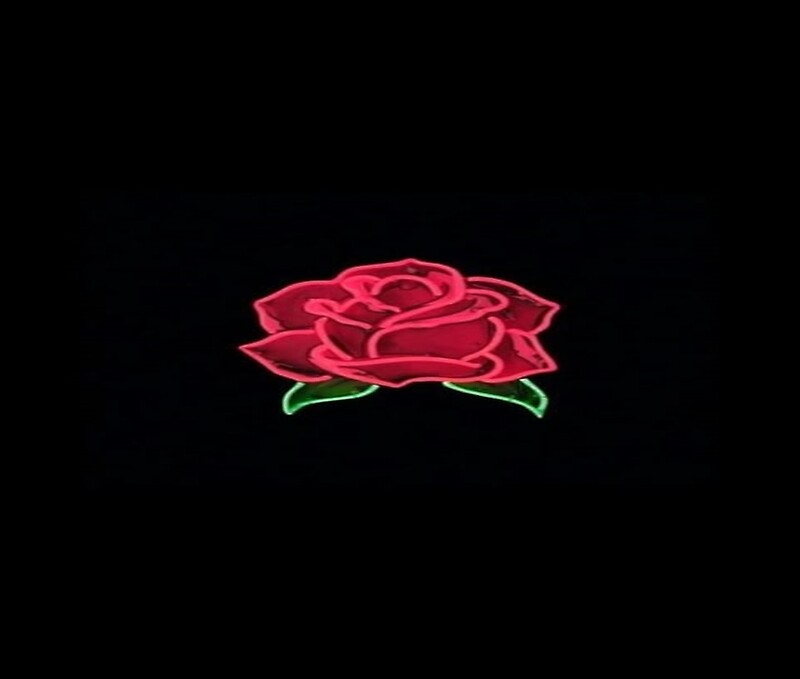 Gang roses