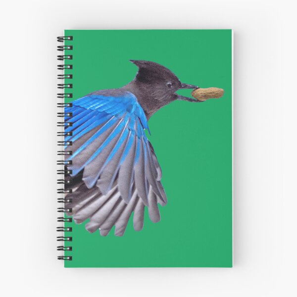 Item preview, Steller's Jay in Flight with Peanut designed and sold by WigOutlet.