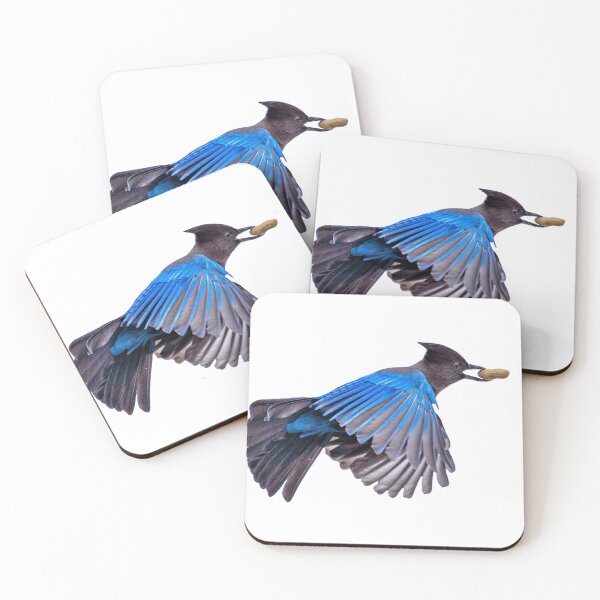 Item preview, Steller's Jay in Flight with Peanut designed and sold by WigOutlet.