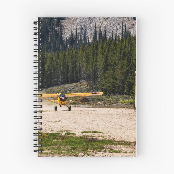 Item preview, N63LM Landing designed and sold by The Artful Finch.