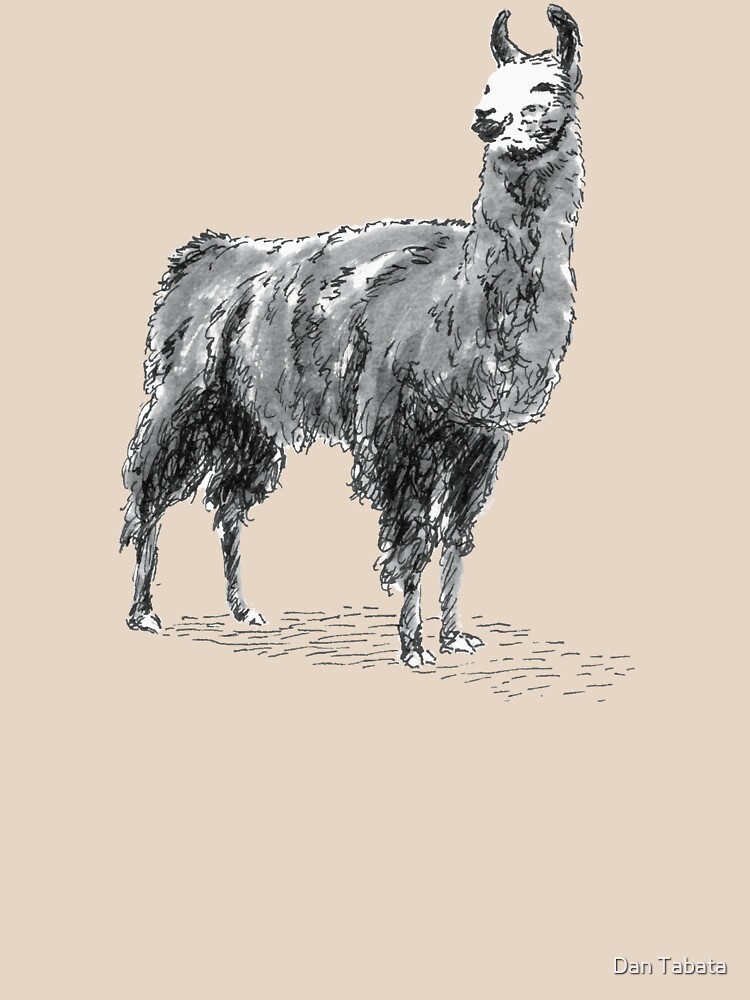 Happy Llama by dmtab