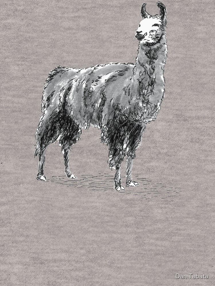 Happy Llama by dmtab