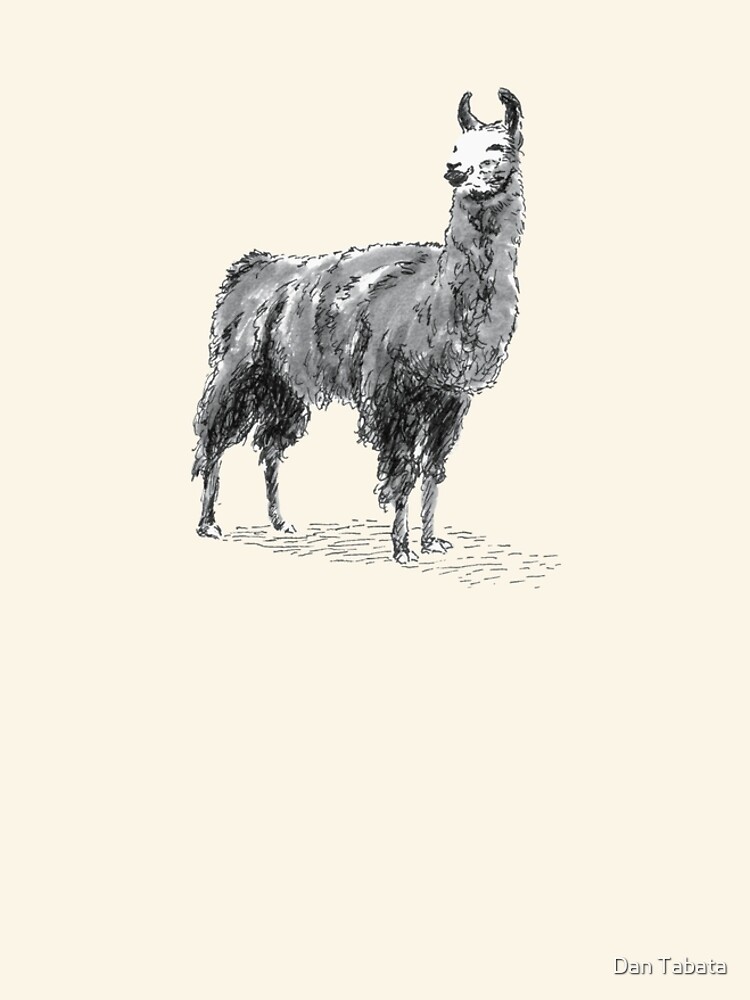 Happy Llama by dmtab