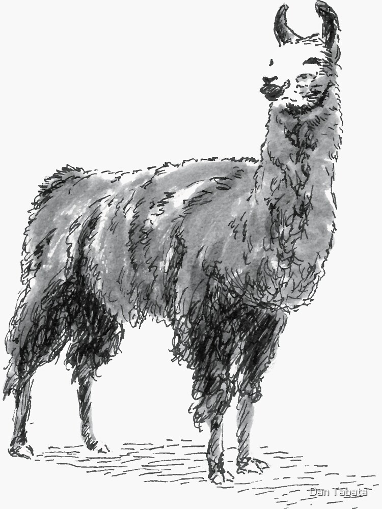 Happy Llama by dmtab