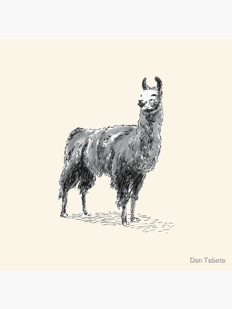 Happy Llama by dmtab