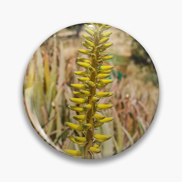 Item preview, Yellow Aloe Flower Spike in Sunny Garden With Succulent Leaves and Desert Plants designed and sold by Nmallia.