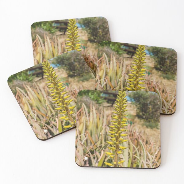 Item preview, Yellow Aloe Flower Spike in Sunny Garden With Succulent Leaves and Desert Plants designed and sold by Nmallia.