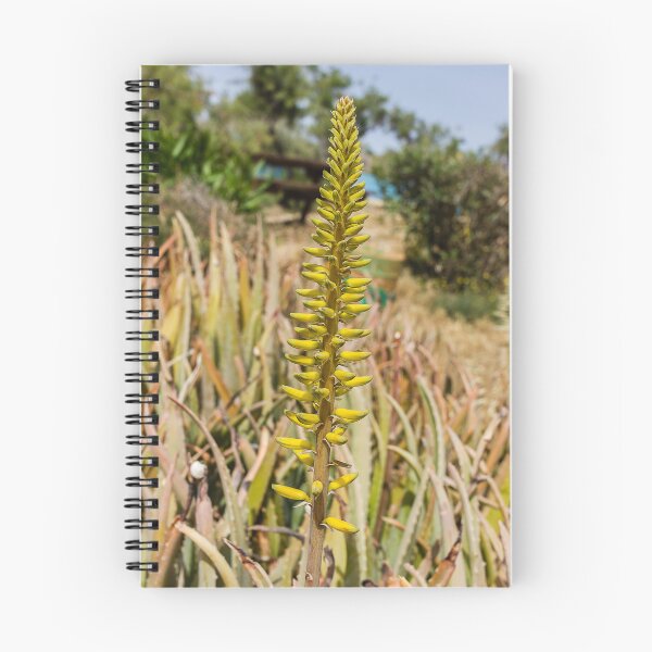 Item preview, Yellow Aloe Flower Spike in Sunny Garden With Succulent Leaves and Desert Plants designed and sold by Nmallia.