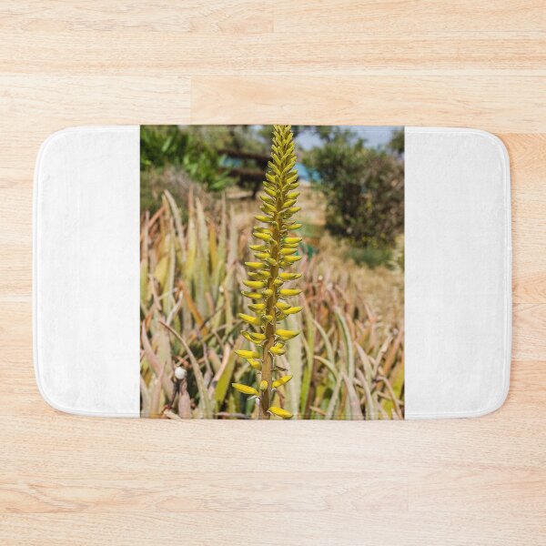 Item preview, Yellow Aloe Flower Spike in Sunny Garden With Succulent Leaves and Desert Plants designed and sold by Nmallia.