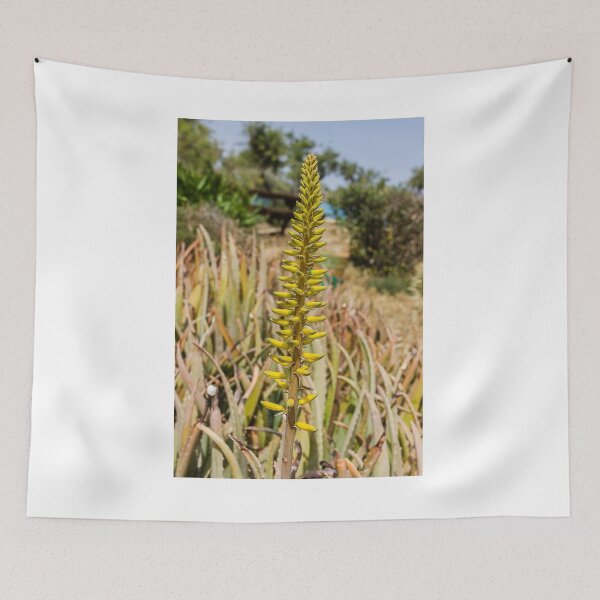 Item preview, Yellow Aloe Flower Spike in Sunny Garden With Succulent Leaves and Desert Plants designed and sold by Nmallia.