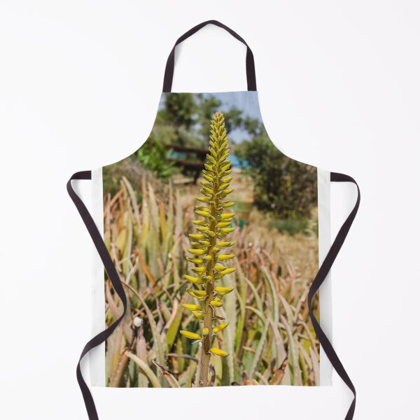Item preview, Yellow Aloe Flower Spike in Sunny Garden With Succulent Leaves and Desert Plants designed and sold by Nmallia.