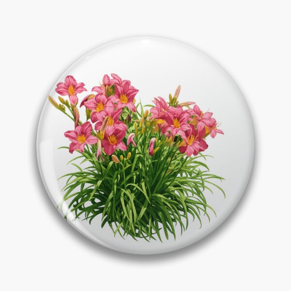 Item preview, Lush pink daylilies in bloom designed and sold by Side Quest Co..