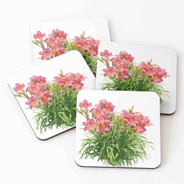 Item preview, Lush pink daylilies in bloom designed and sold by Side Quest Co..