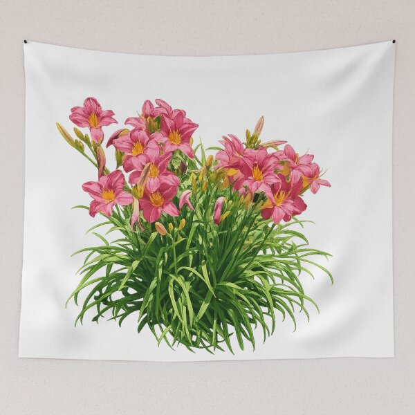 Item preview, Lush pink daylilies in bloom designed and sold by Side Quest Co..