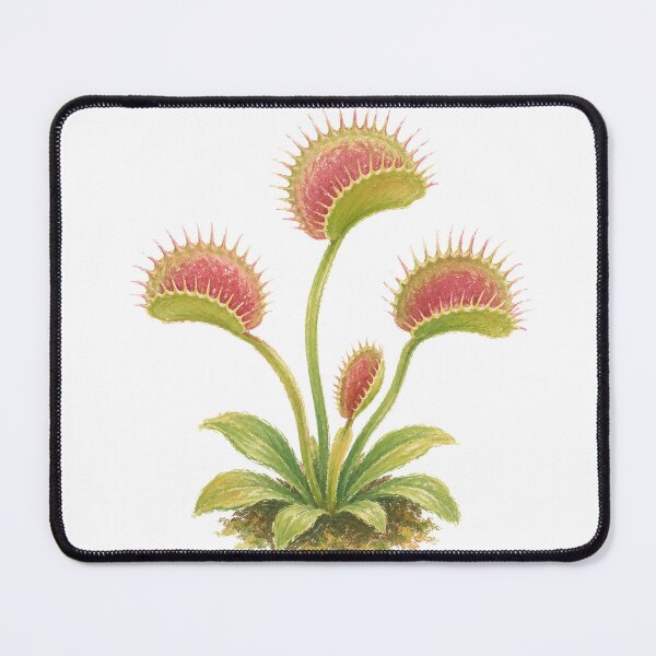 Item preview, Venus Flytrap Carnivorous Plant Botanical Study designed and sold by eignvalue.