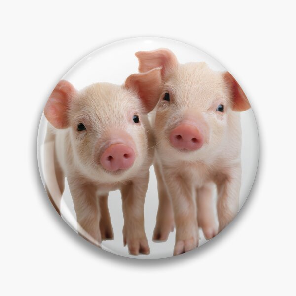 Item preview, Really cute pigs designed and sold by ArtfulPlay.