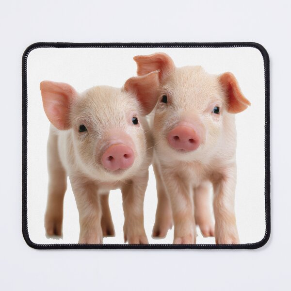 Item preview, Really cute pigs designed and sold by ArtfulPlay.