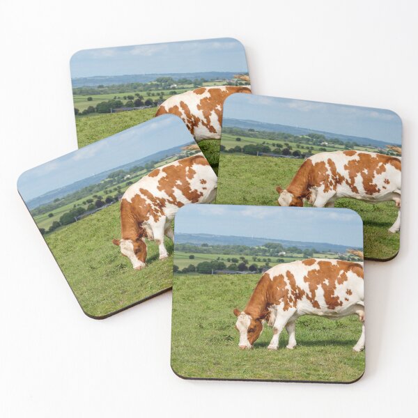 Item preview, Copy of Limousin Cow VII designed and sold by Jane Stanley Photography.