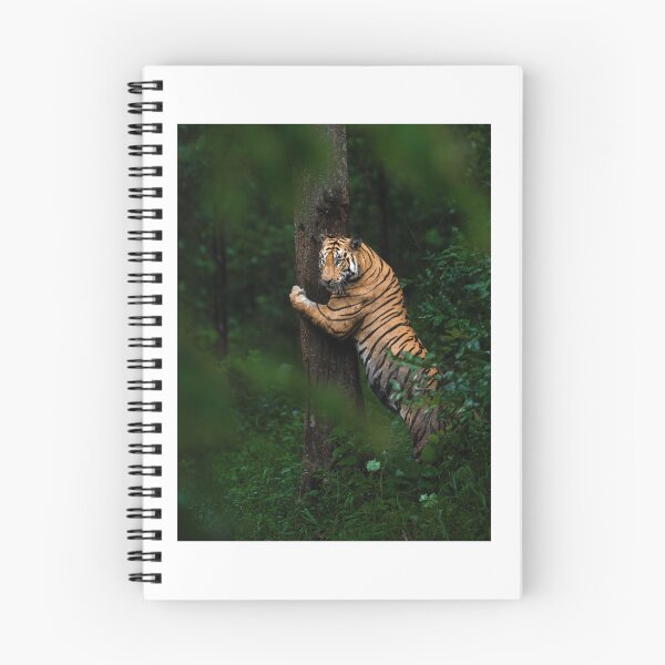 Item preview, Tree Hugging Tiger – Majestic Bengal Tiger in the Wild designed and sold by PygmyTitan Photo.
