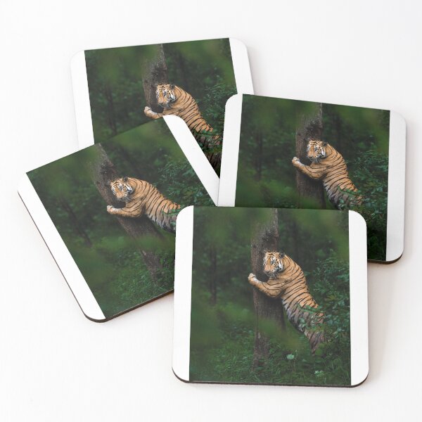 Item preview, Tree Hugging Tiger – Majestic Bengal Tiger in the Wild designed and sold by PygmyTitan Photo.