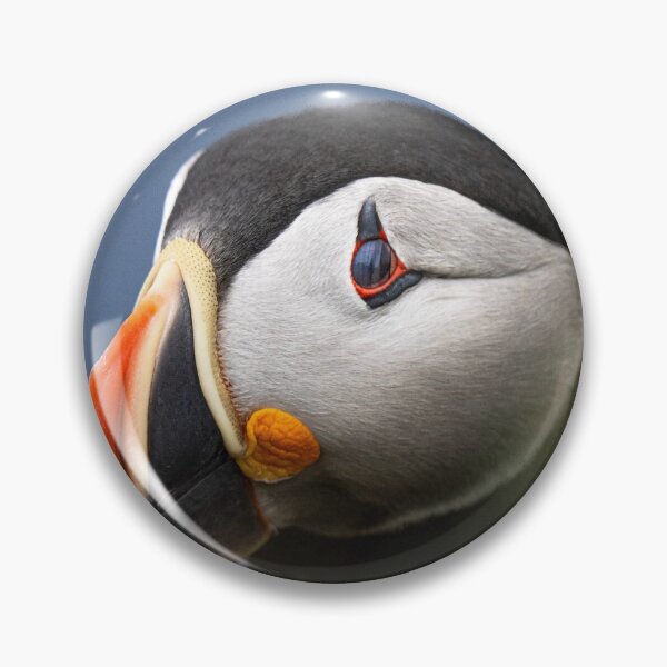 Item preview, Portrait of an Atlantic Puffin – Iconic Colorful Beak designed and sold by PygmyTitan Photo.