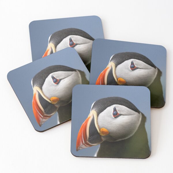 Item preview, Portrait of an Atlantic Puffin – Iconic Colorful Beak designed and sold by PygmyTitan Photo.