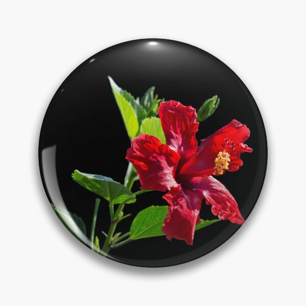 Item preview, Red Hibiscus on Black designed and sold by CarolM.