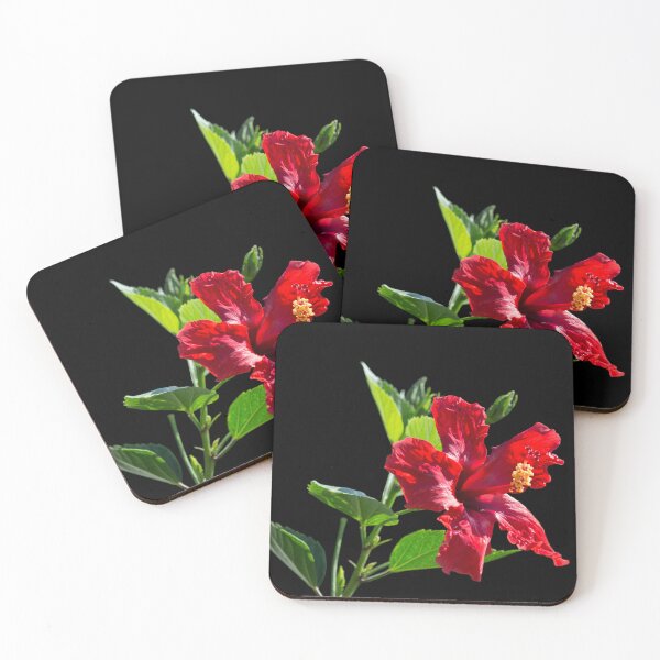 Item preview, Red Hibiscus on Black designed and sold by CarolM.