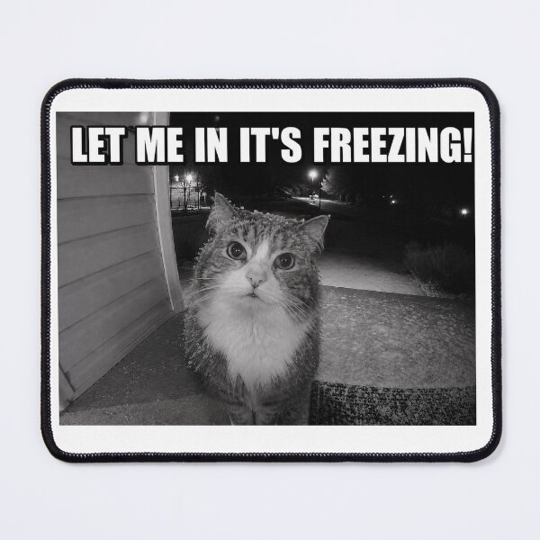 Item preview, Freezing cat design designed and sold by Tee Visions.