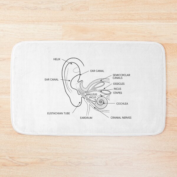 Item preview, Vintage Ear Anatomy Diagram Illustration designed and sold by DariaOltes.