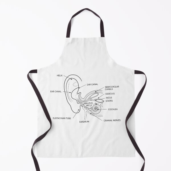 Item preview, Vintage Ear Anatomy Diagram Illustration designed and sold by DariaOltes.