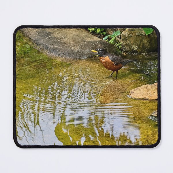 Item preview, In the Creek designed and sold by Victor Kilman.