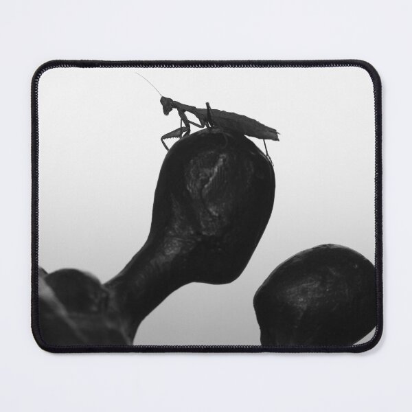 Item preview, The Sentinel Minimalist Black and White Insect Photography designed and sold by Kadir Murat Tosun.