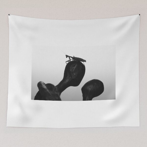 Item preview, The Sentinel Minimalist Black and White Insect Photography designed and sold by Kadir Murat Tosun.