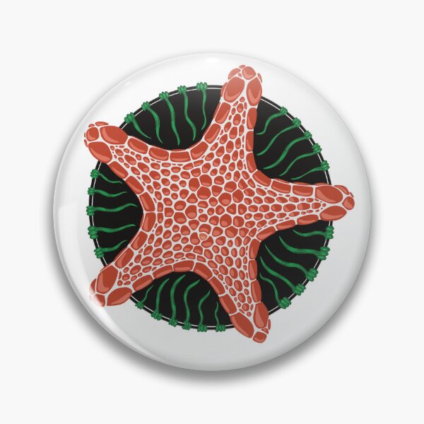 Item preview, Starfish Pentagram designed and sold by Olenka.
