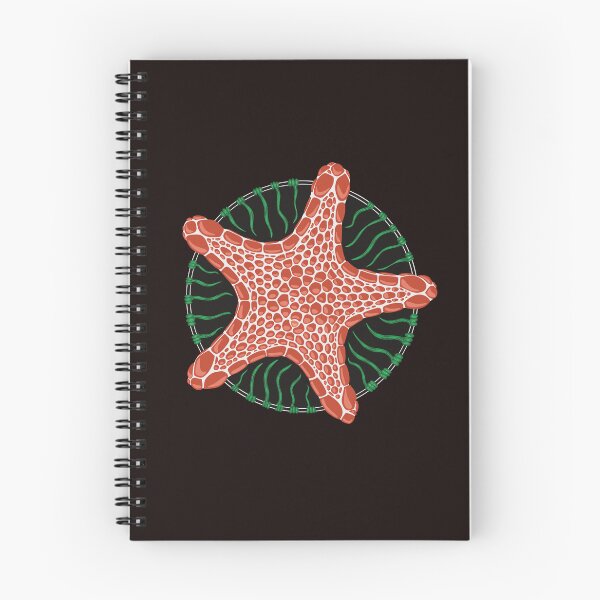 Item preview, Starfish Pentagram designed and sold by Olenka.