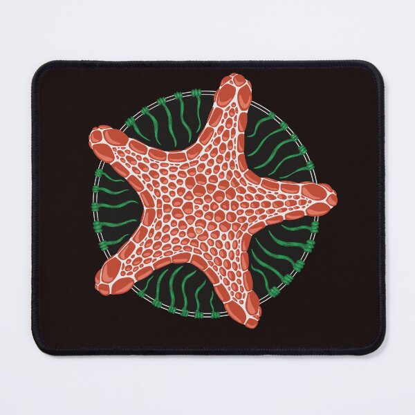 Item preview, Starfish Pentagram designed and sold by Olenka.