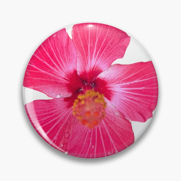 Item preview, Pink designed and sold by Lauracolleen3.