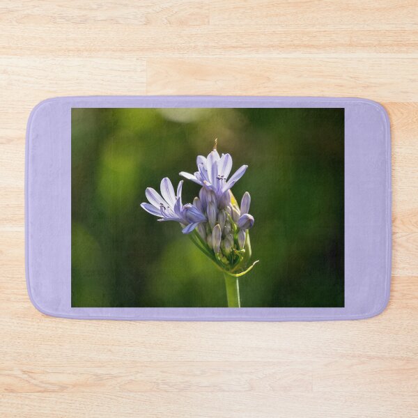 Item preview, Lily of the Nile Blooming (agapanthus, African lily) designed and sold by CarolM.
