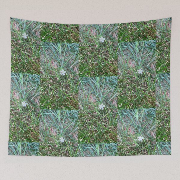 Item preview, Common Starwart designed and sold by Amanda1775.