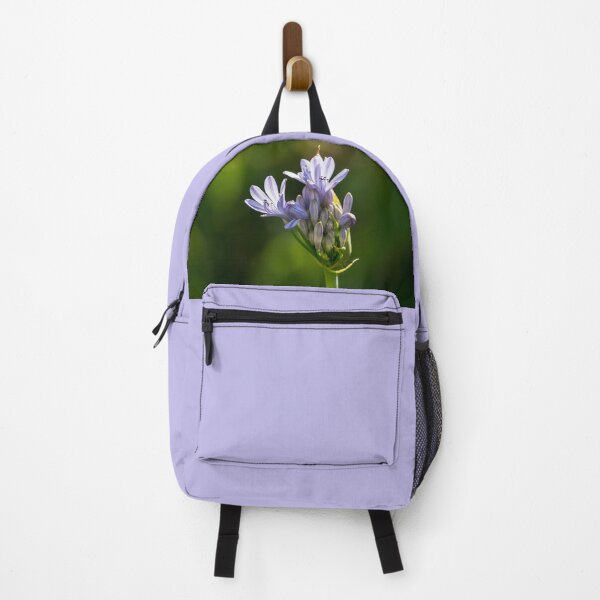 Item preview, Lily of the Nile Blooming (agapanthus, African lily) designed and sold by CarolM.
