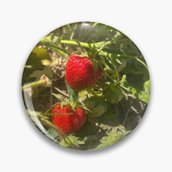 Item preview, Strawberries  designed and sold by Lauracolleen3.