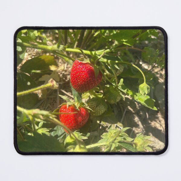 Item preview, Strawberries designed and sold by Lauracolleen3.
